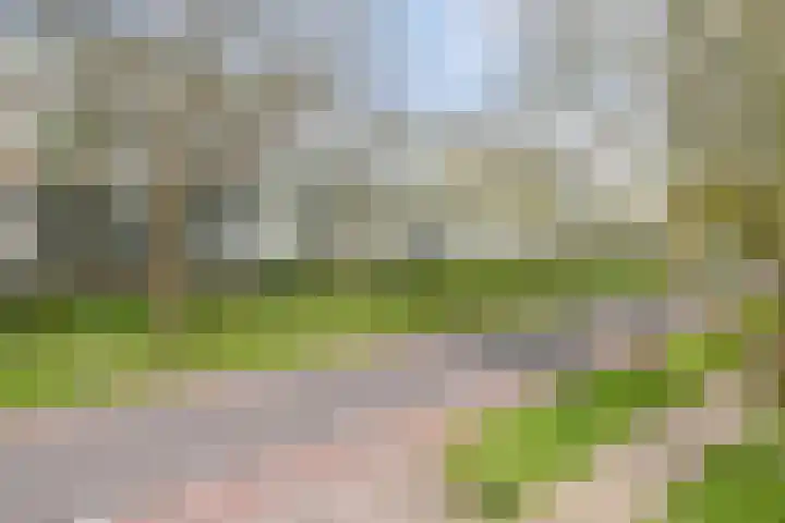 Dillenburg 48 Doorwerth thumbnail 4