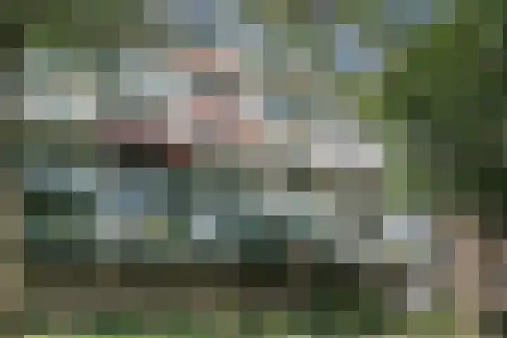 Dillenburg 48 Doorwerth thumbnail 5