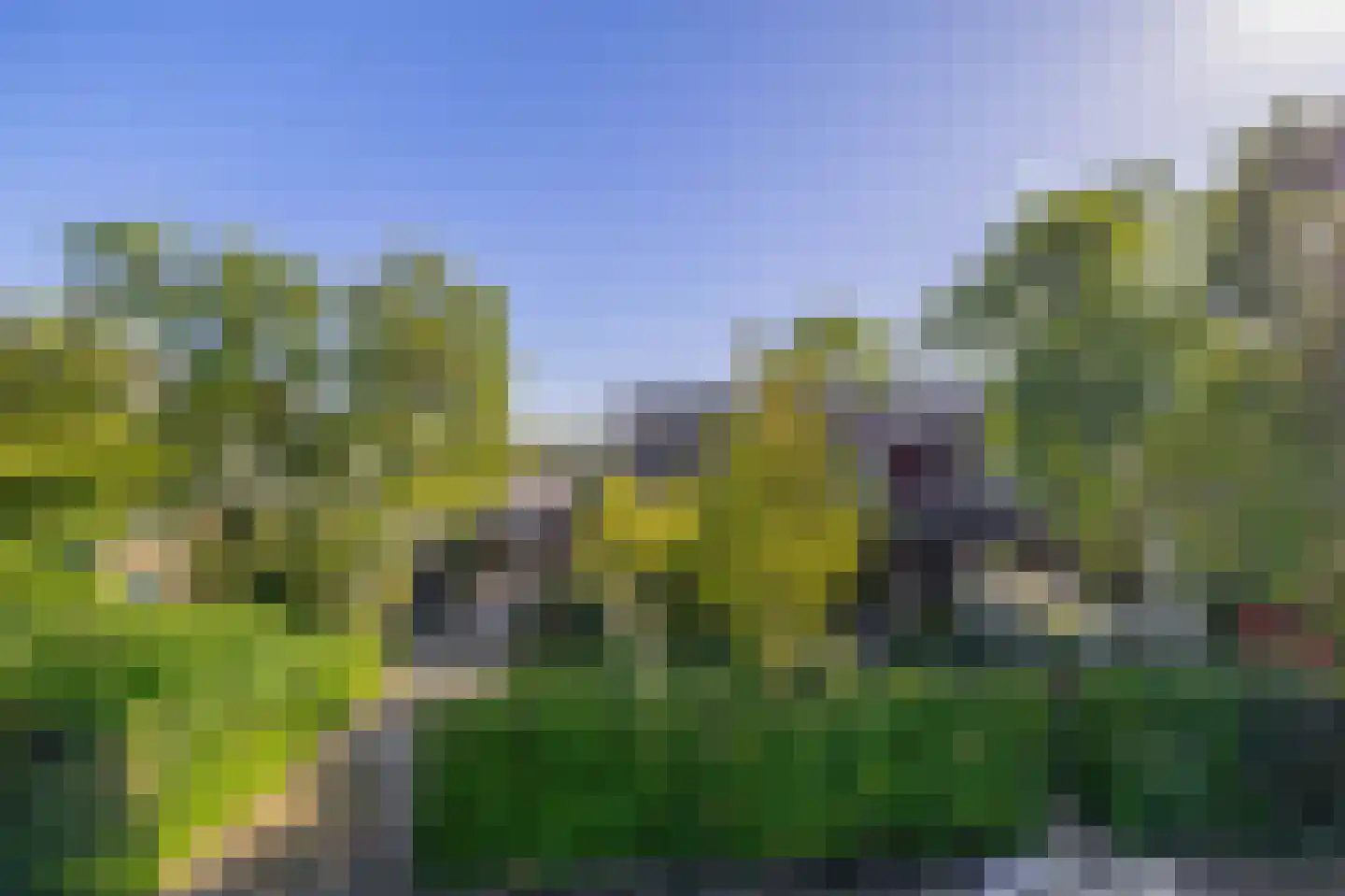 Dillenburg 8 Wageningen thumbnail 4