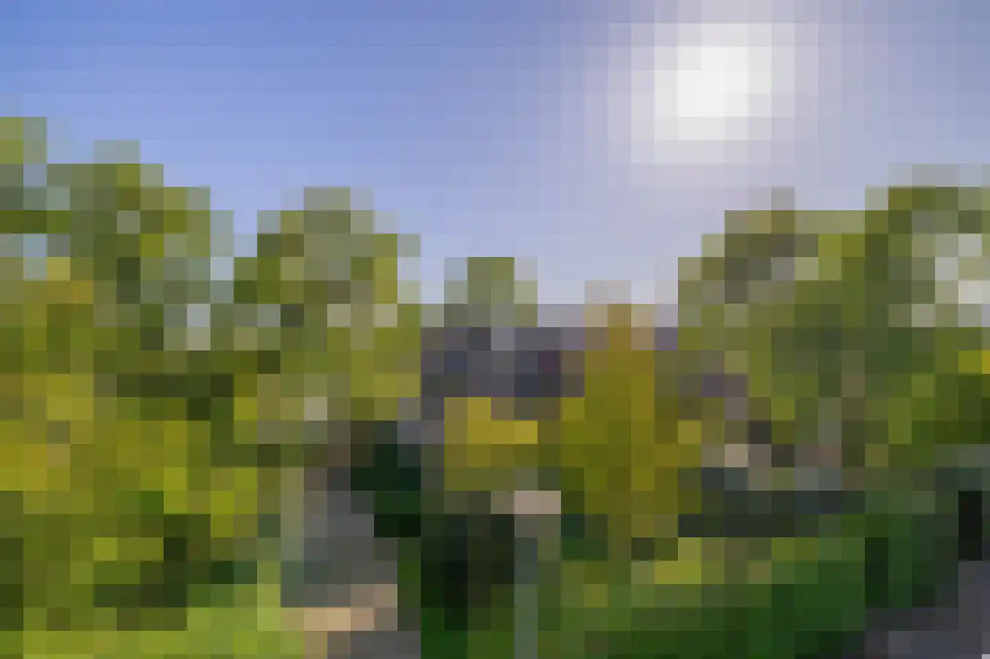 Dillenburg 8 Wageningen thumbnail 5