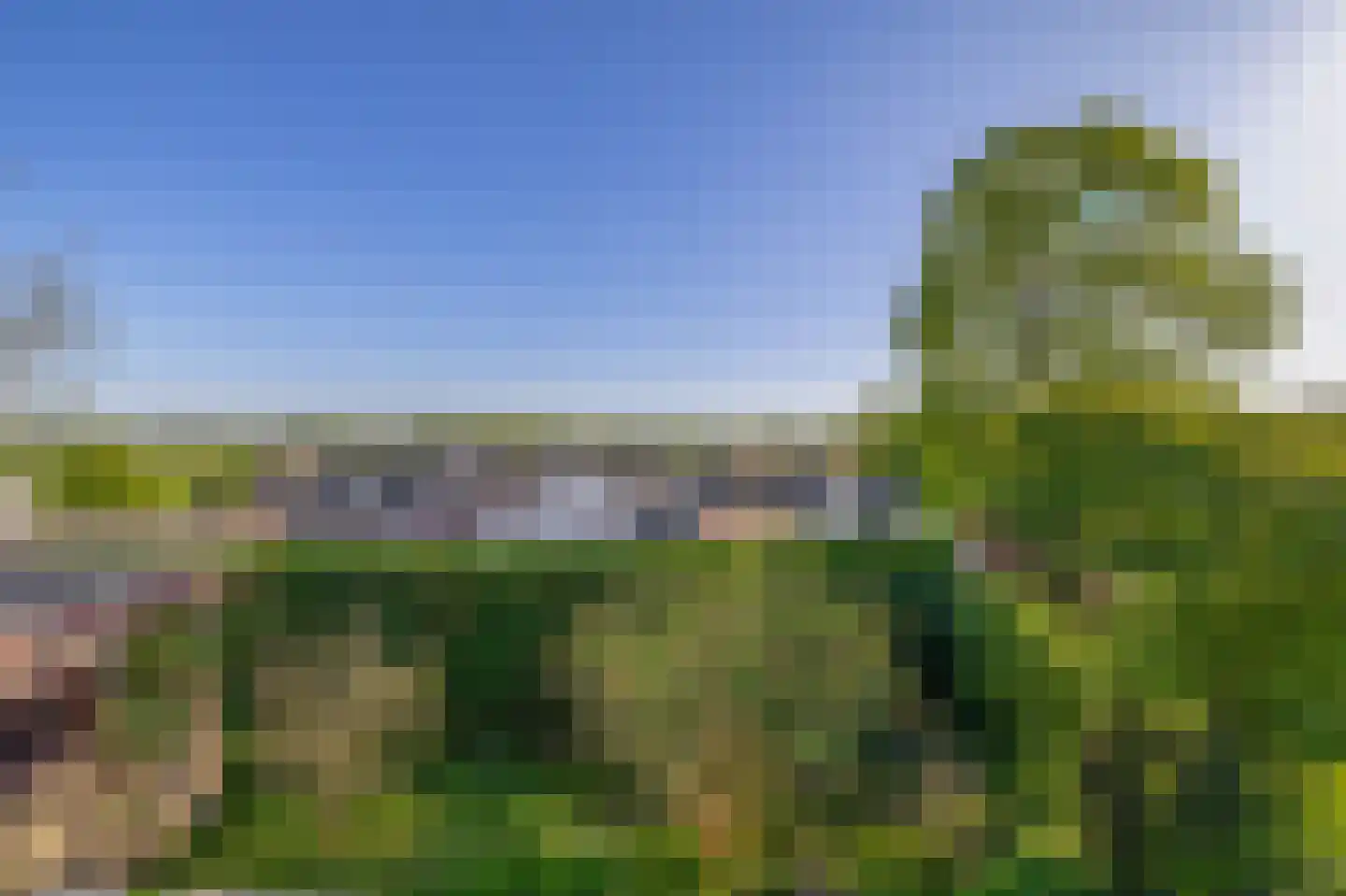 Dillenburg 8 Wageningen thumbnail 52