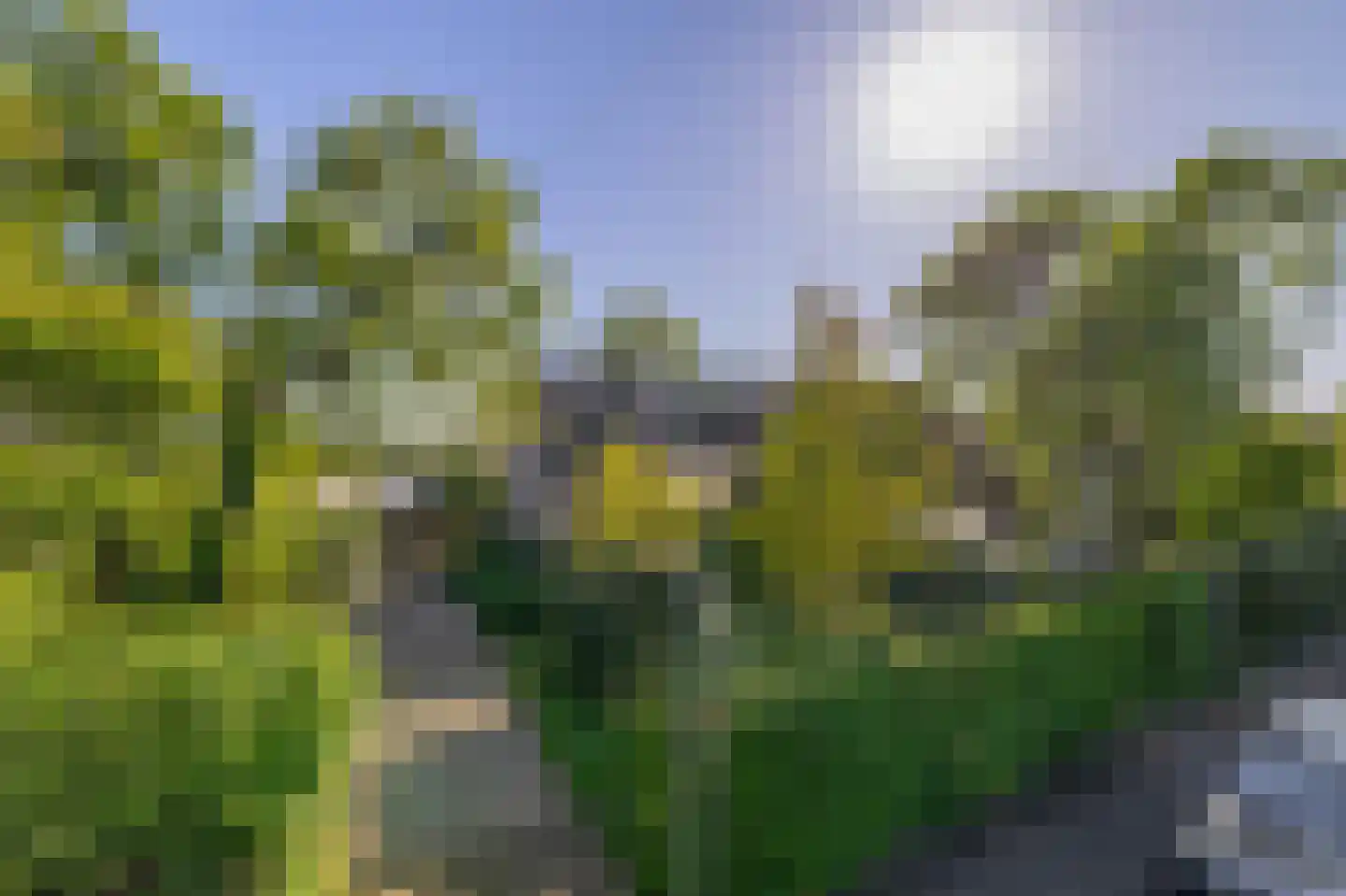 Dillenburg 8 Wageningen thumbnail 6