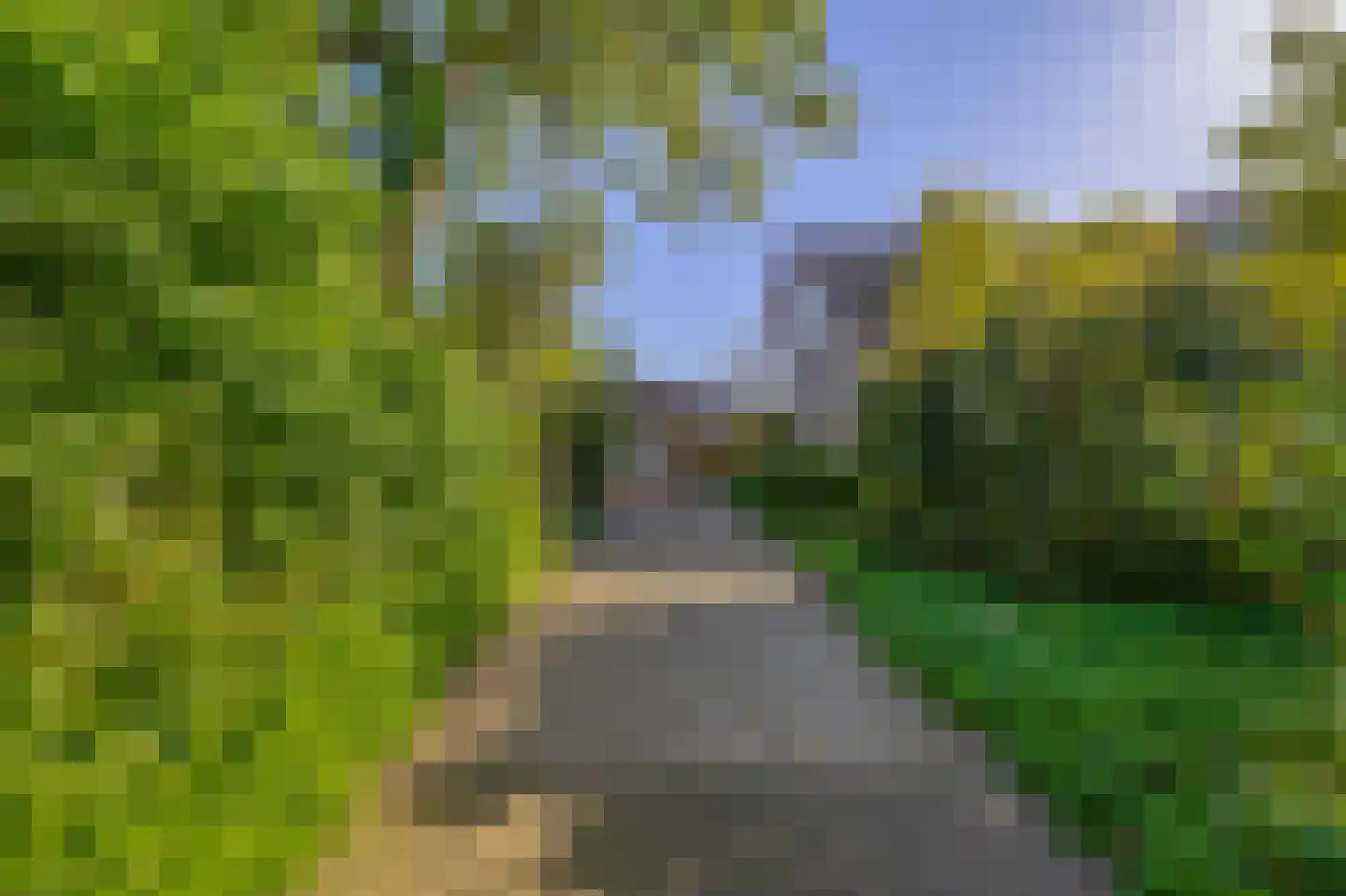 Dillenburg 8 Wageningen thumbnail 7