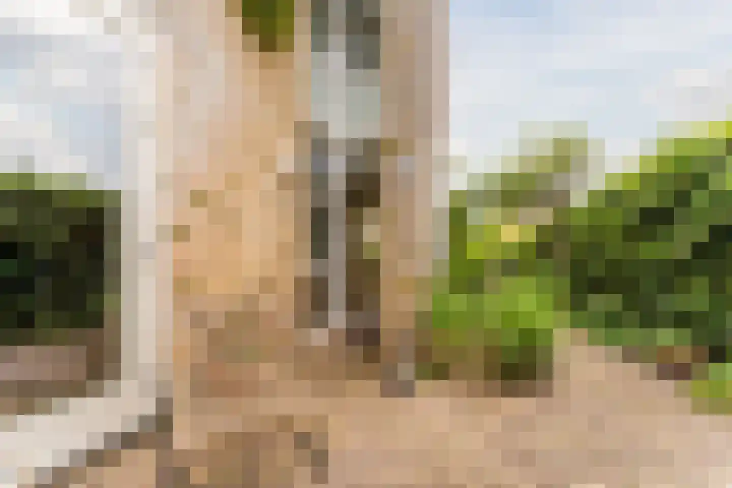 Dillenburg 9 Uitgeest thumbnail 5
