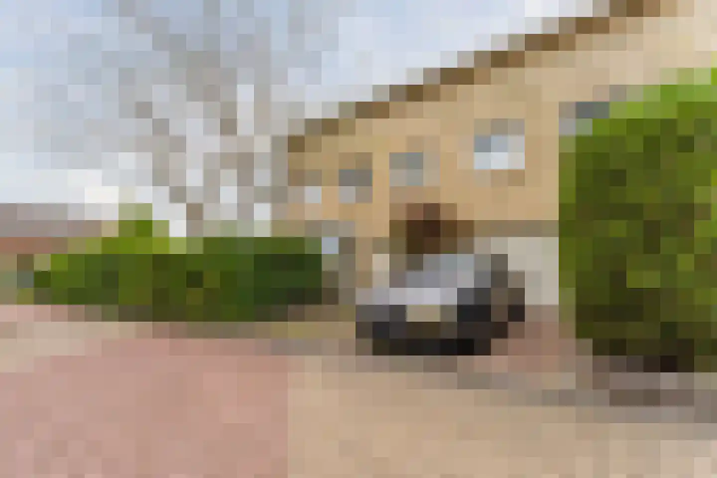 Dillenburg 9 Uitgeest thumbnail 91