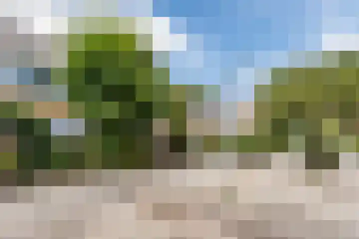 Dillenburgdreef 6 Katwijk thumbnail 53