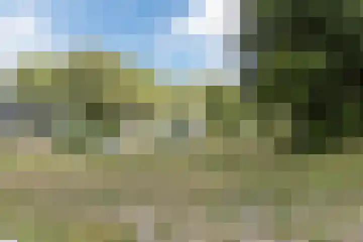 Dillenburgdreef 6 Katwijk thumbnail 58