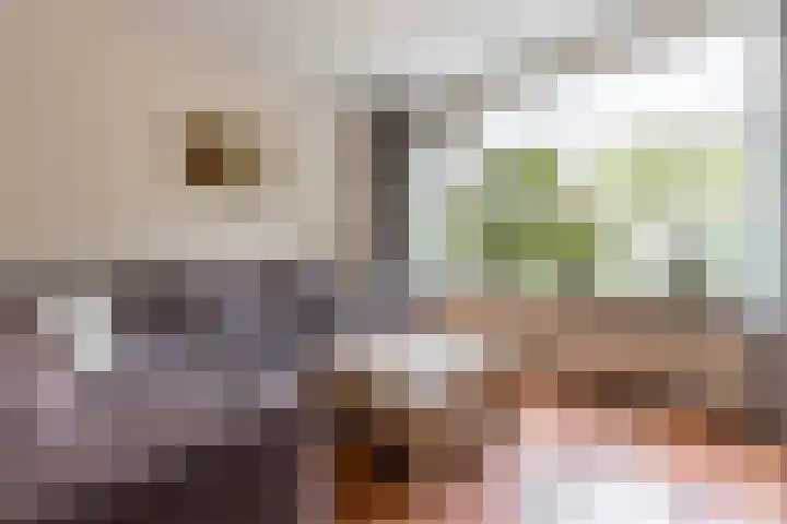 Dillenburgdreef 6 Katwijk thumbnail 7
