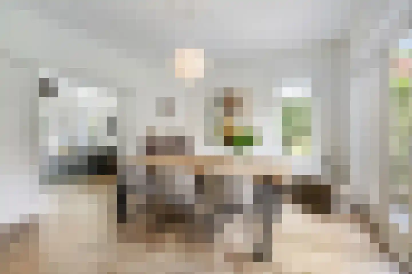 Dillenburglaan 10 Velp thumbnail 12