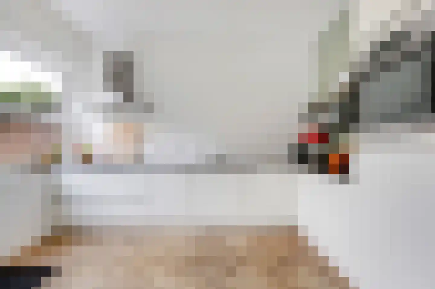Dillenburglaan 10 Velp thumbnail 14