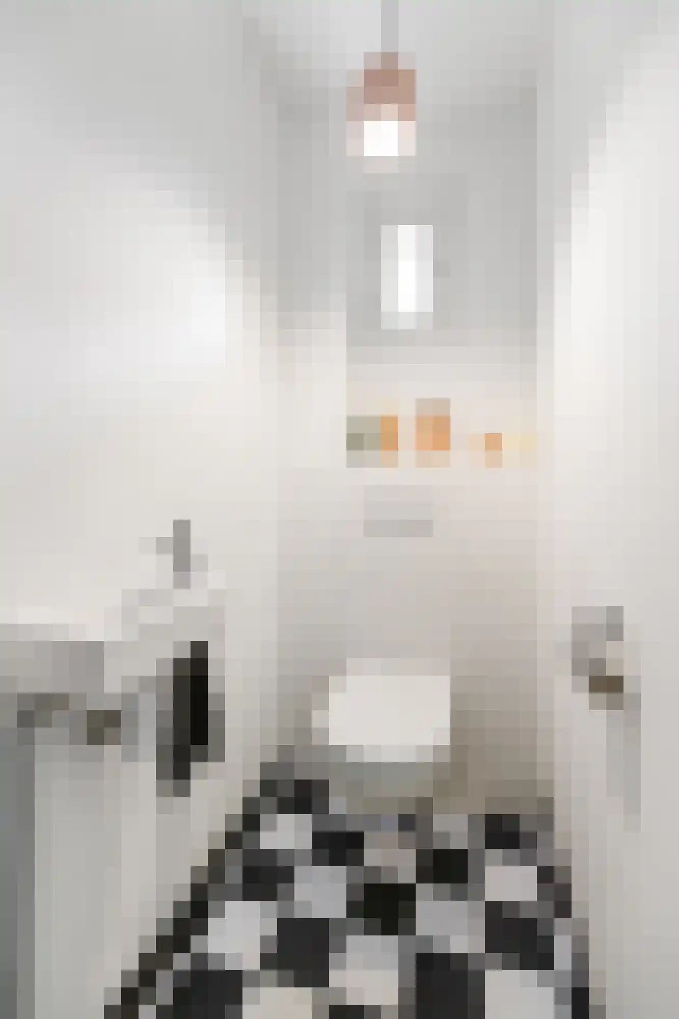 Dillenburglaan 10 Velp thumbnail 15