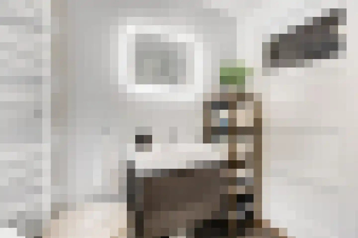 Dillenburglaan 10 Velp thumbnail 26