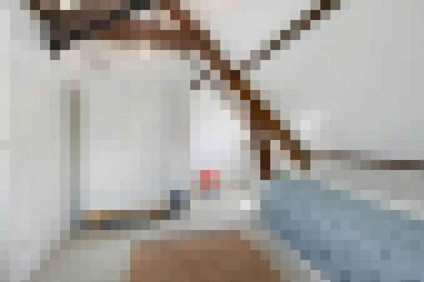Dillenburglaan 10 Velp thumbnail 31
