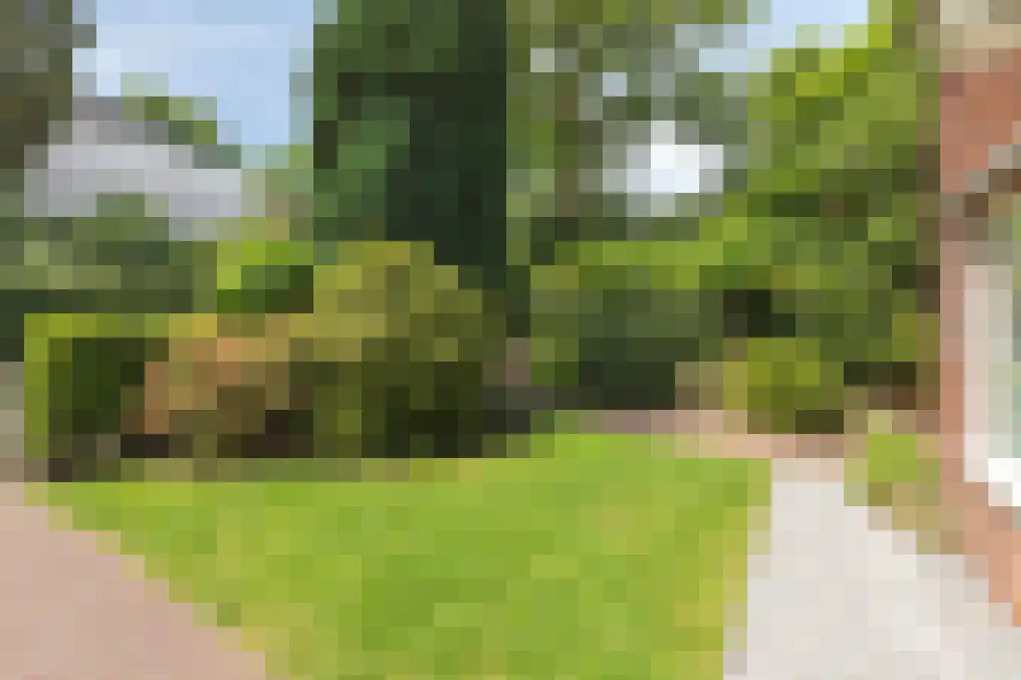 Dillenburglaan 10 Velp thumbnail 38