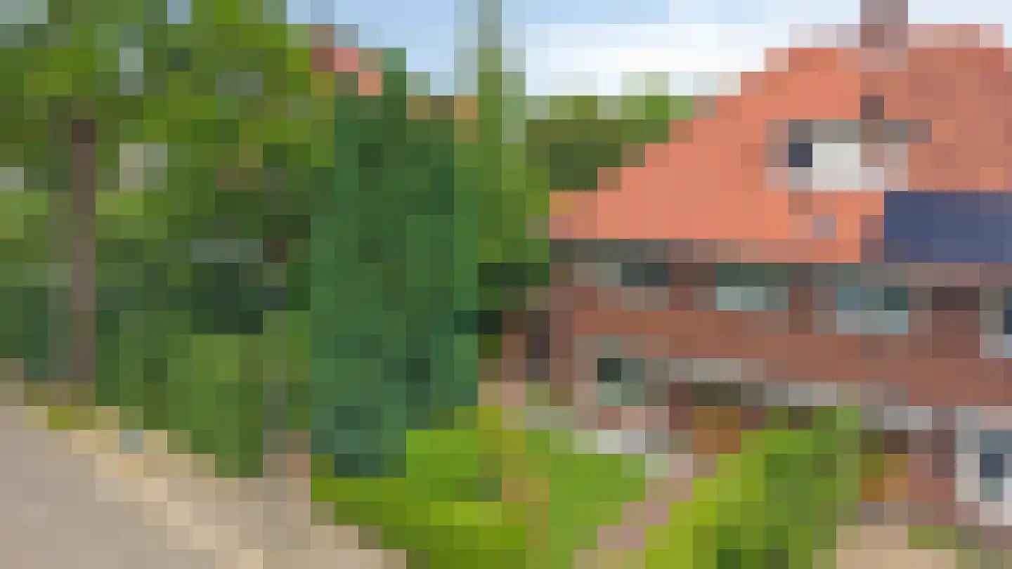 Dillenburglaan 10 Velp thumbnail 41