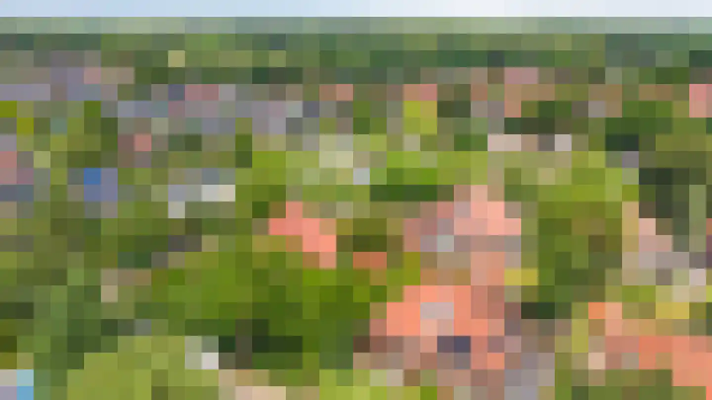 Dillenburglaan 10 Velp thumbnail 5
