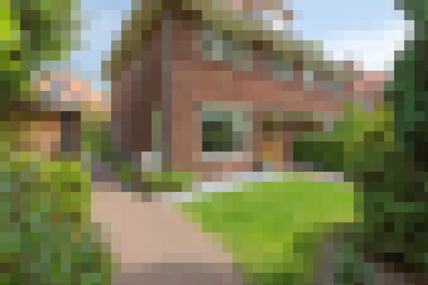 Dillenburglaan 10 Velp thumbnail 6