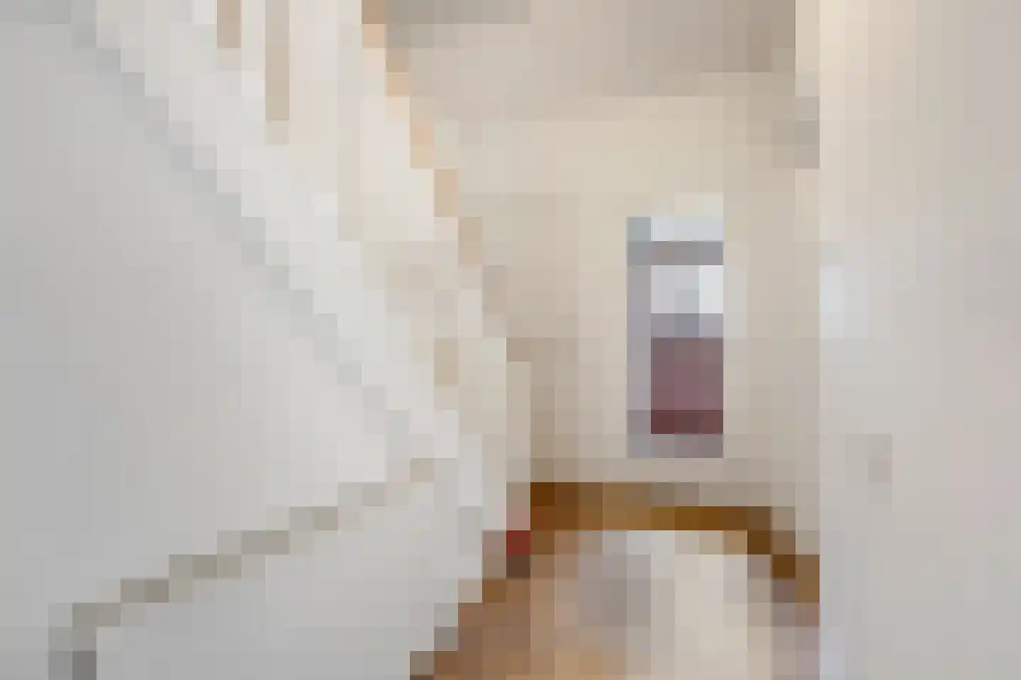 Dillenburglaan 10 Velp thumbnail 7