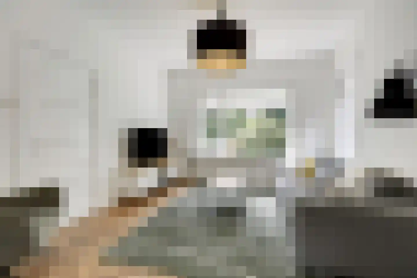 Dillenburglaan 10 Velp thumbnail 8