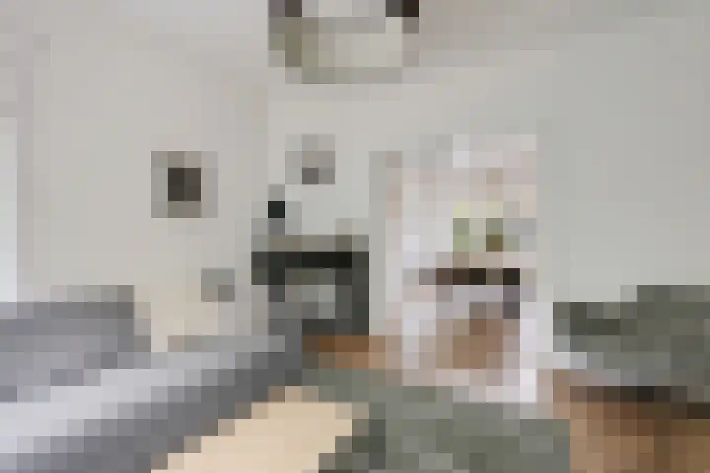 Dillenburglaan 10 Velp thumbnail 9