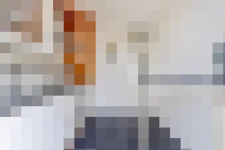 Dillenburglaan 12 Goes thumbnail 12