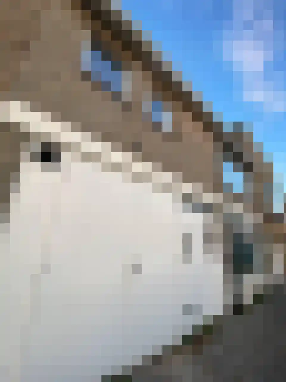 Dillenburglaan 23 Tilburg thumbnail 6