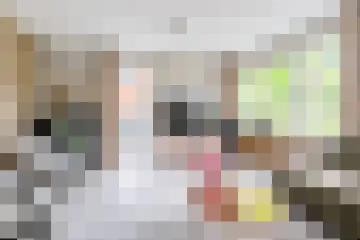 Dillenburglaan 3 B Heiligerlee thumbnail 10
