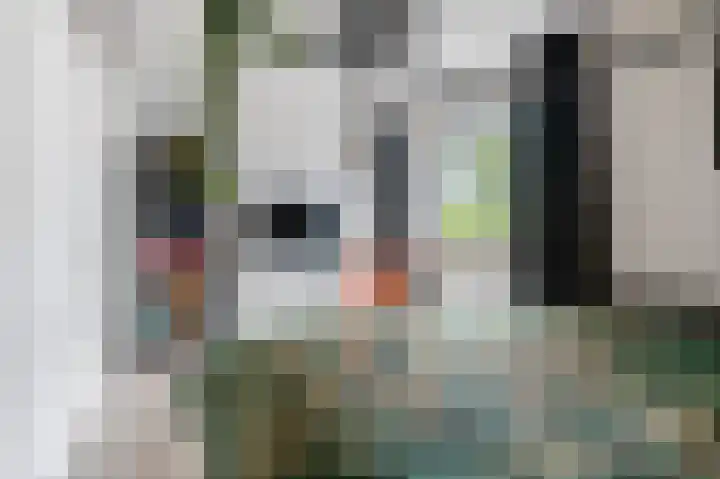Dillenburglaan 3 B Heiligerlee thumbnail 22
