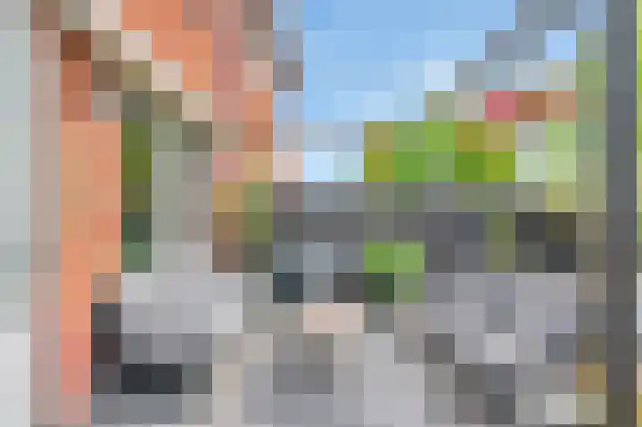 Dillenburglaan 3 B Heiligerlee thumbnail 30