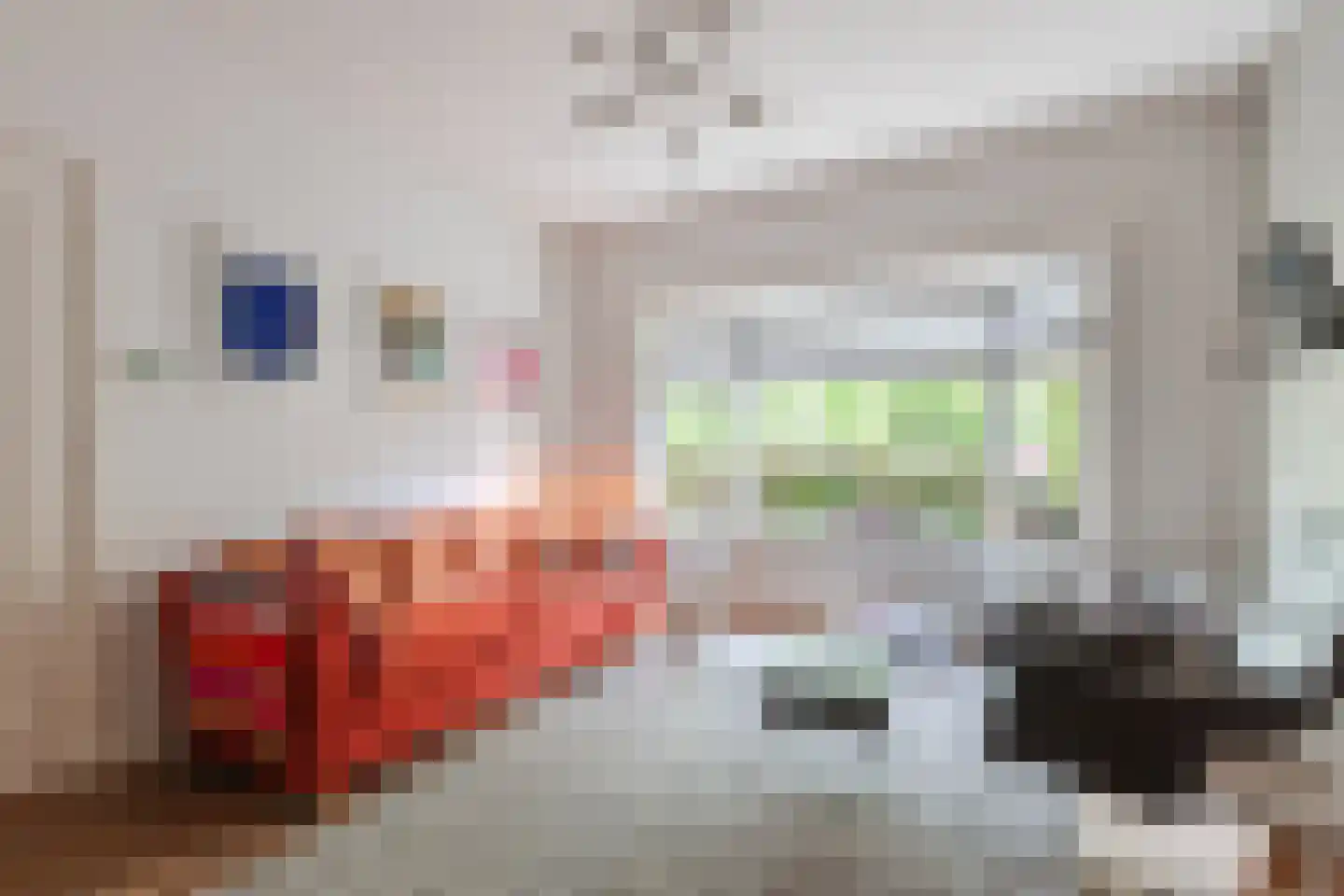 Dillenburglaan 3 Velp thumbnail 11