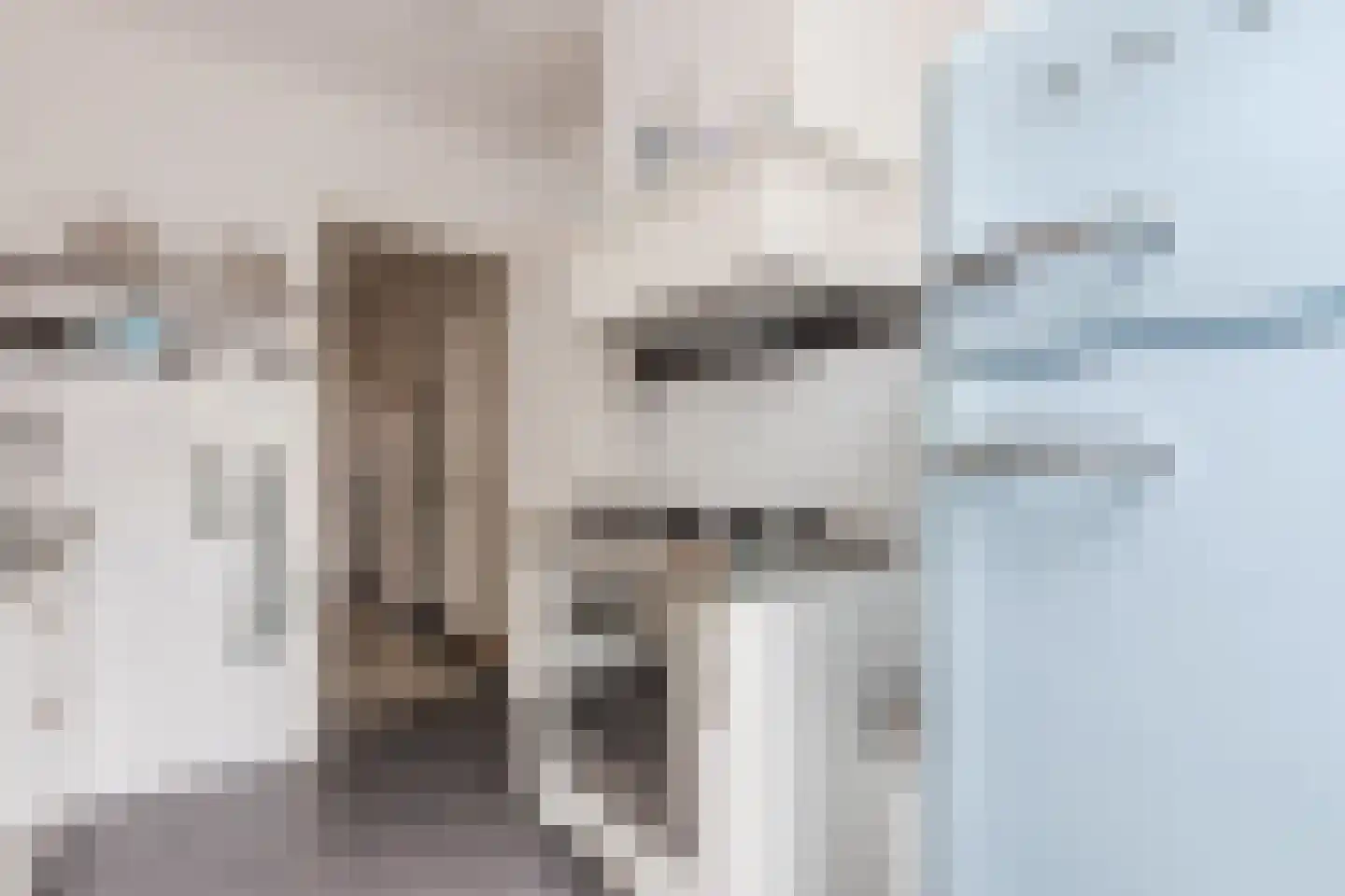 Dillenburglaan 3 Velp thumbnail 17
