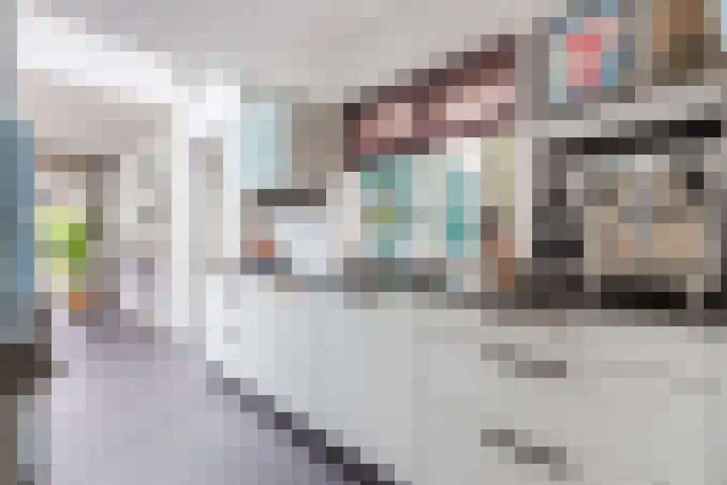 Dillenburglaan 3 Velp thumbnail 18