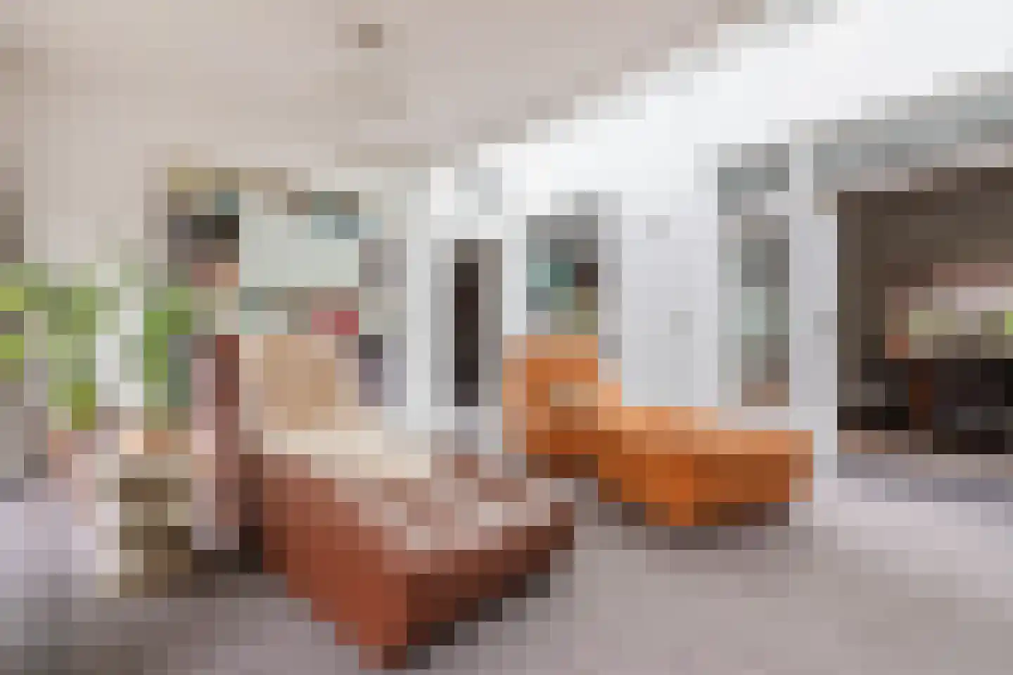 Dillenburglaan 3 Velp thumbnail 19