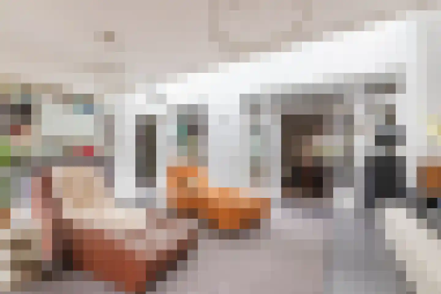 Dillenburglaan 3 Velp thumbnail 20