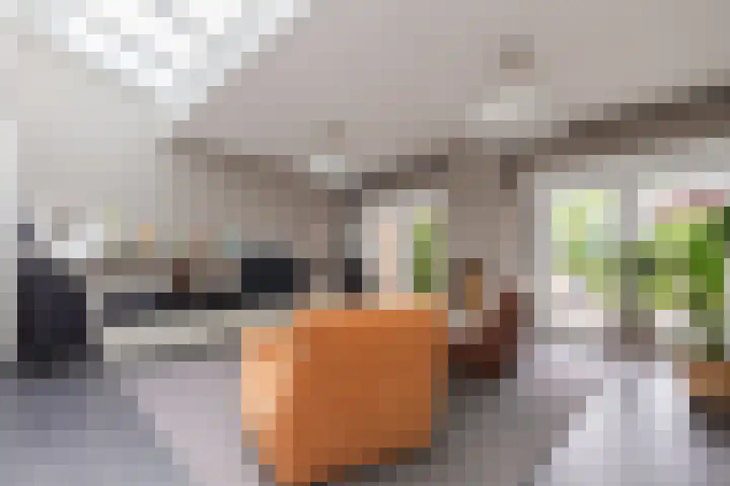 Dillenburglaan 3 Velp thumbnail 21