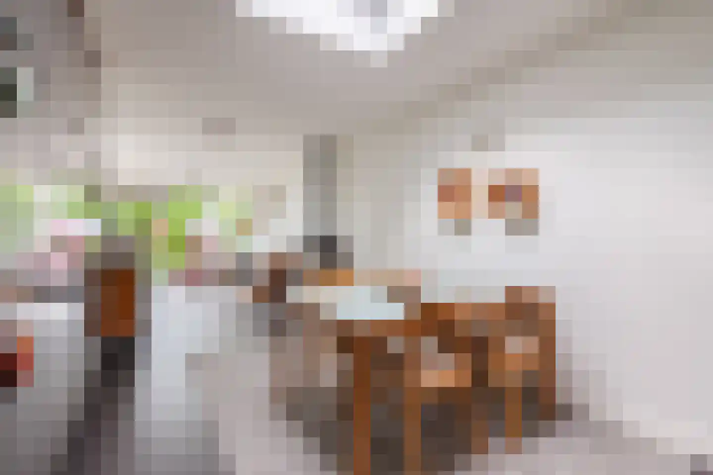 Dillenburglaan 3 Velp thumbnail 22