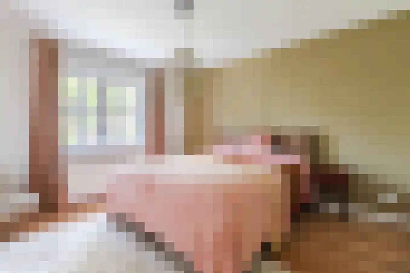 Dillenburglaan 3 Velp thumbnail 28