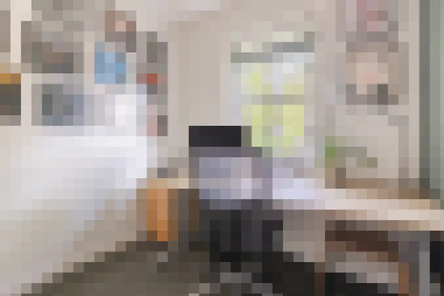 Dillenburglaan 3 Velp thumbnail 30