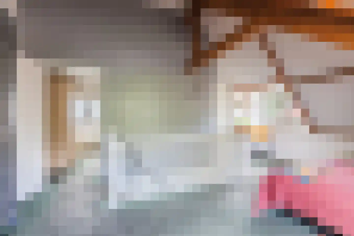 Dillenburglaan 3 Velp thumbnail 42
