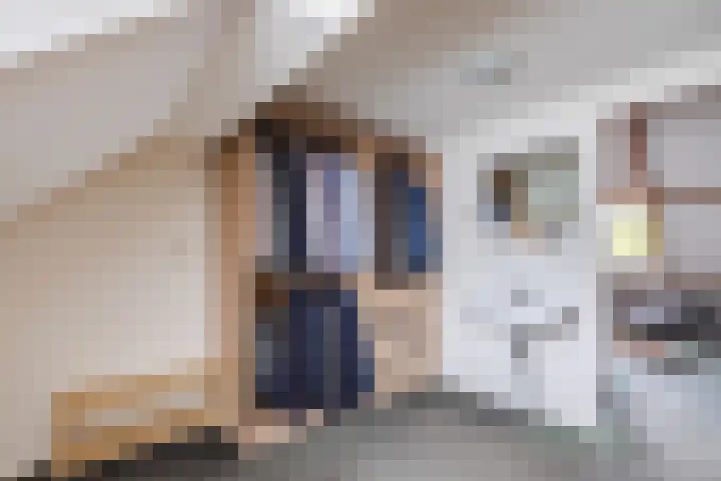 Dillenburglaan 3 Velp thumbnail 44