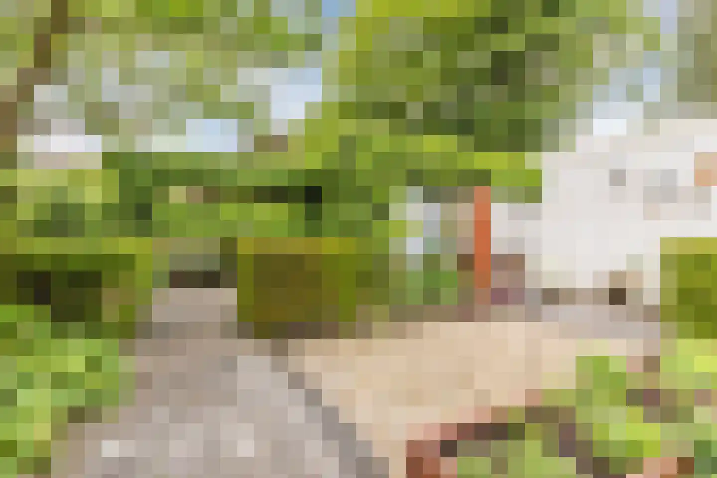 Dillenburglaan 3 Velp thumbnail 50