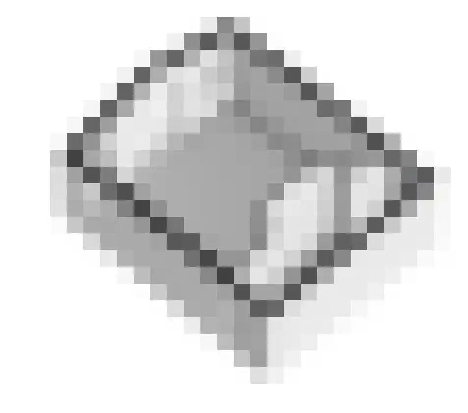 Dillenburglaan 3 Velp thumbnail 51