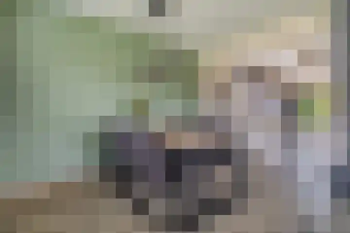Dillenburglaan 30 Heiligerlee thumbnail 21