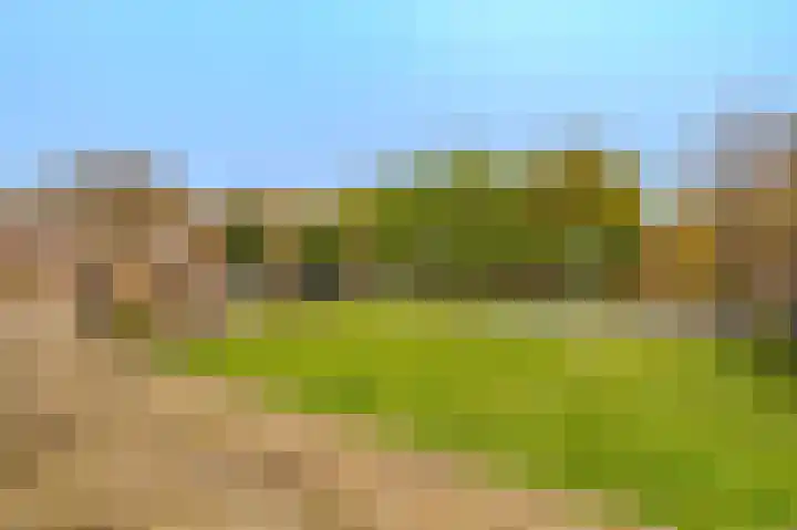 Dillenburglaan 30 Heiligerlee thumbnail 45