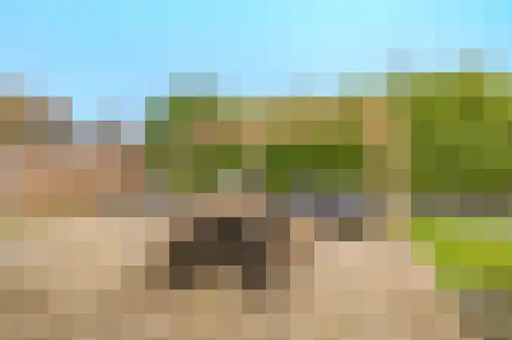 Dillenburglaan 30 Heiligerlee thumbnail 46