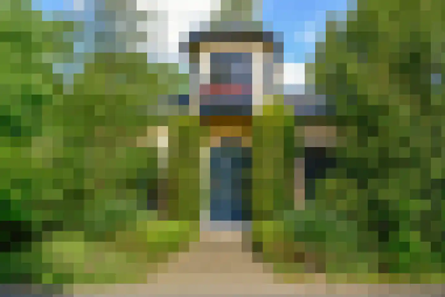 Dillenburglaan 36 Baarn