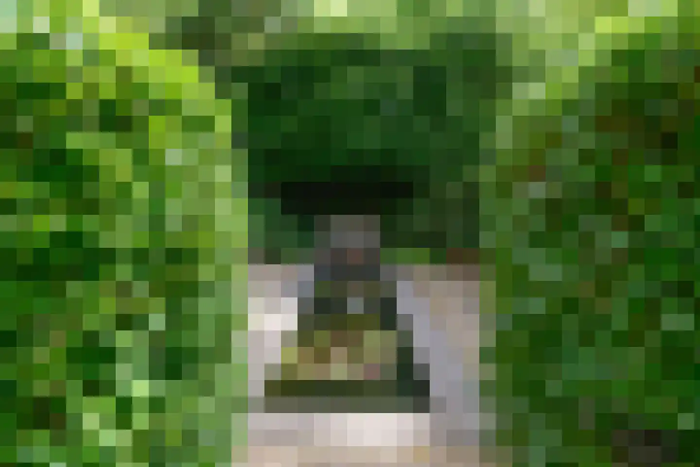 Dillenburglaan 36 Baarn thumbnail 36