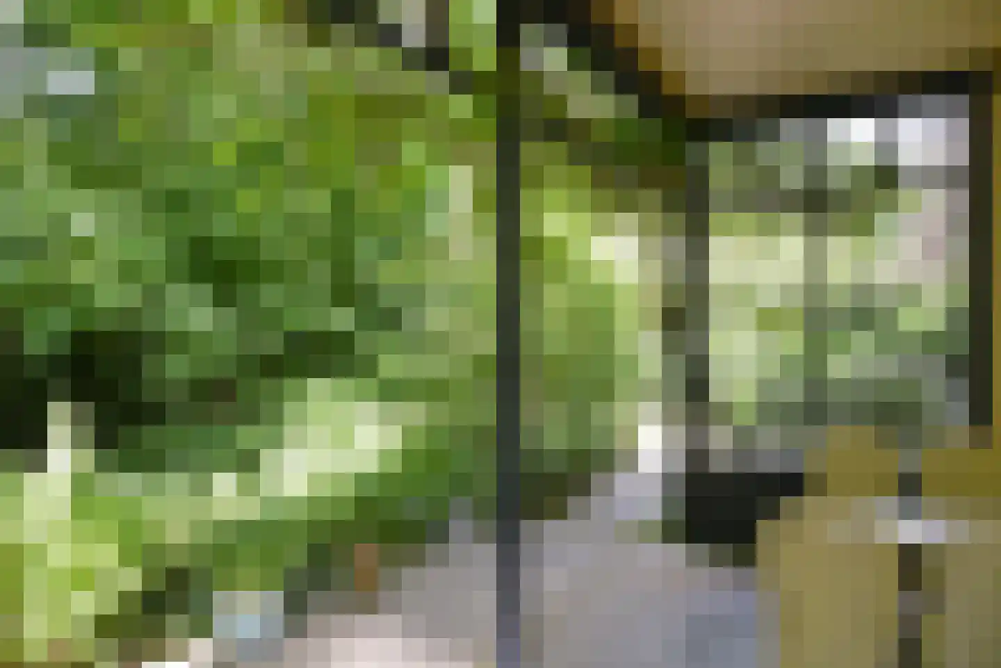 Dillenburglaan 36 Baarn thumbnail 38