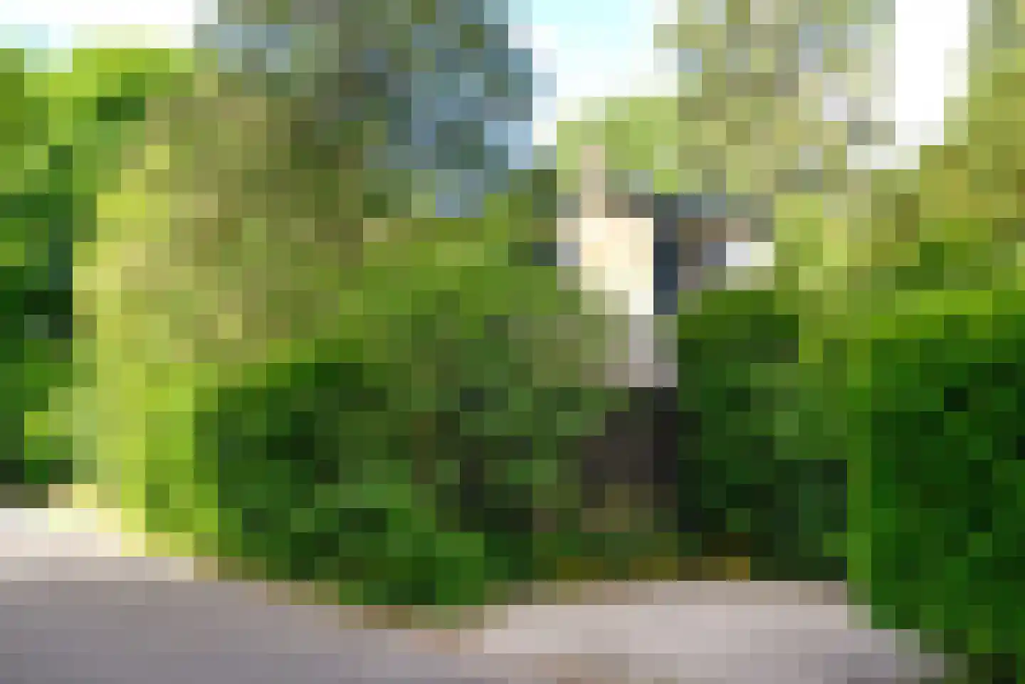Dillenburglaan 36 Baarn thumbnail 44