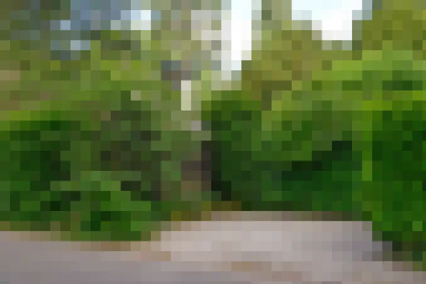 Dillenburglaan 36 Baarn thumbnail 45
